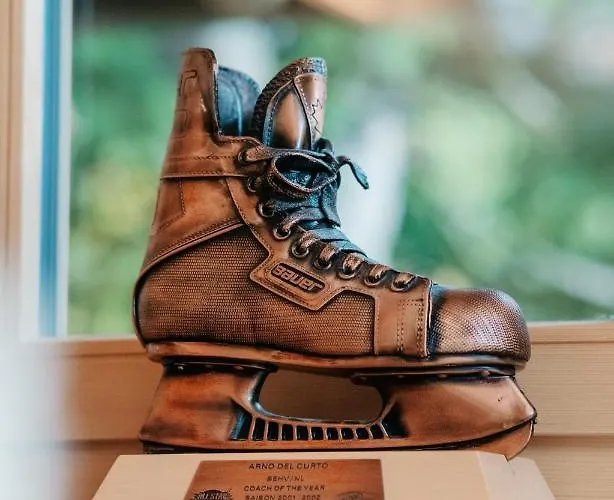 A&y Zum Goldenen Hirsch Chalet Davos